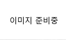 이슈브리프